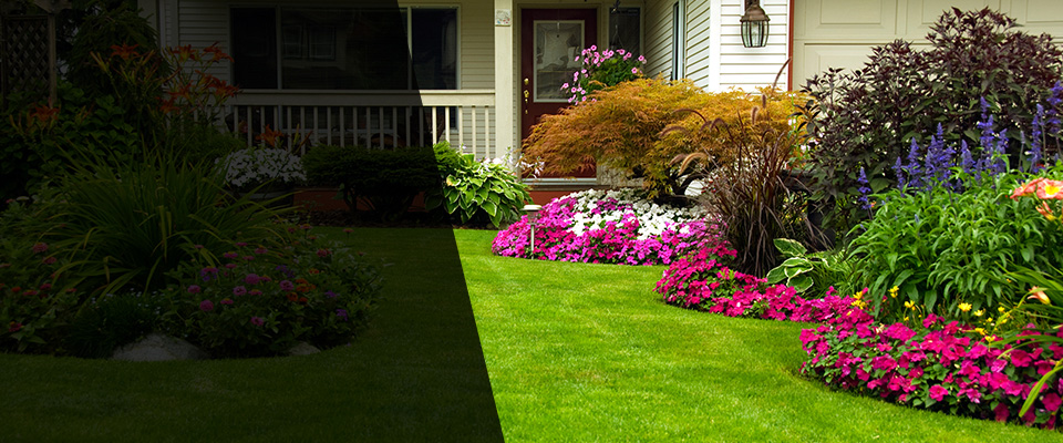Ronkonkoma Landscapers