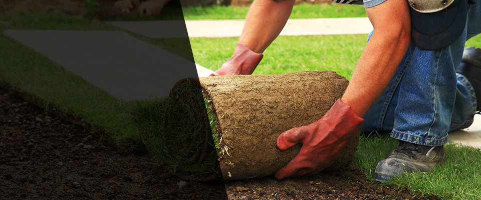 Ronkonkoma Landscapers